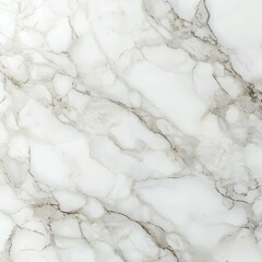 A close-up of white marble with natural black and gray veining, perfect for backgrounds, textures, or interior design concepts.