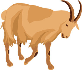 Farm Animal Illustration