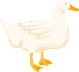 Farm Animal Illustration