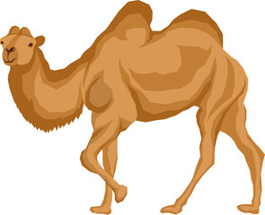 Farm Animal Illustration