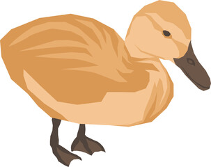 Farm Animal Illustration