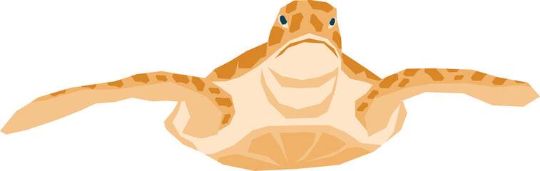 Turtle illustration