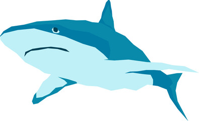 Marine World Illustration