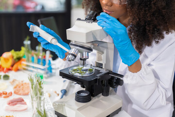 Microbiologists and nutrition experts analyze molecular samples in advanced food science labs,...