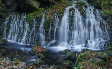 Obraz premium 秋の元滝伏流水