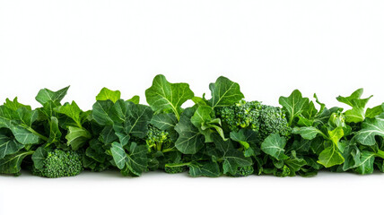 Fototapeta premium Fresh broccoli with vibrant green leaves on white background