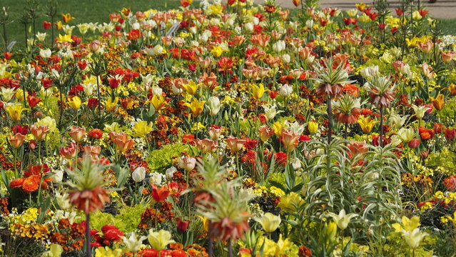Sch&ouml;nes Blumenbeet