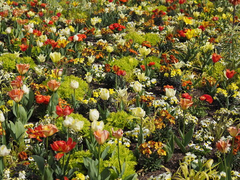Sch&ouml;nes Blumenbeet