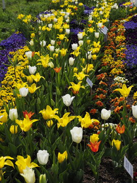 Sch&ouml;nes Blumenbeet