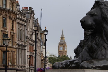 Lion statue and Big Ben from Trafalgar Square, London, England