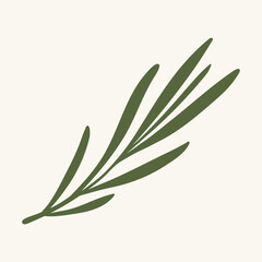 Green sprig of rosemary, flat vector illustration
