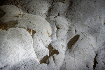 Interior of the large hall of old Karain cave, hidden in Mediterranean region. Confirms human...
