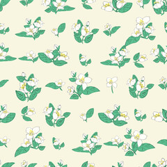 Seamless vector pattern with jasmine flowers and green leaves. Floral background illustration.