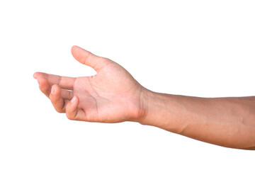 Hands isolated on white background, outstretching gesture, hand gesture