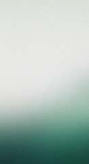 Obraz premium Abstract gradient with soft green and white tones, with grain texture, vertical frame