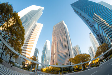 【魚眼】2024年　秋　大都会高層ビルと街並みの夕方　摩天楼の風景【紅葉】