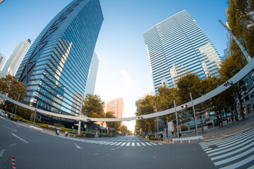 【魚眼】2024年　秋　大都会高層ビルと街並みの夕方　摩天楼の風景【紅葉】