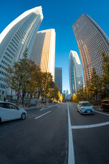 【魚眼】2024年　秋　大都会高層ビルと街並みの夕方　摩天楼の風景【紅葉】