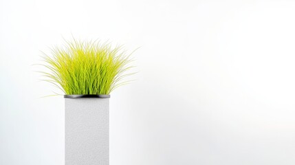 A minimalist display featuring vibrant green grass in a sleek white planter, set against a clean white background.