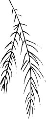 Pine Branch Black Vector Outline