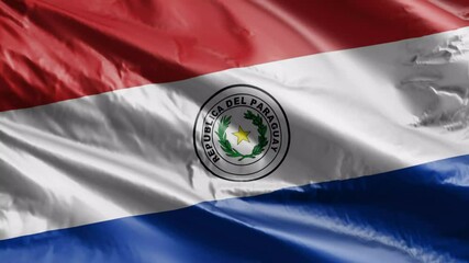 3D illustration closeup of the Paraguay country flag waving in the wind