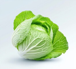 Fototapeta premium Fresh green cabbage with crisp leaves on white isolated background, showcasing its natural texture and vibrant color.