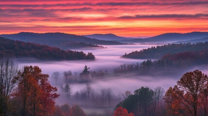 Fototapeta premium Autumn Sunrise Fog Valley Landscape Scene