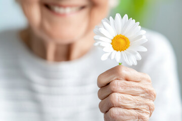 Elderly woman smiles while holding a daisy flower in a bright and cozy indoor setting