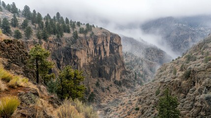 Majestic Canyon Cliffs Enveloped In Misty Mountain Air