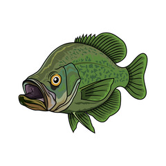 crappie fishing illustration logo vector image t shirt