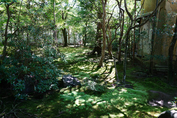 京都の仏教寺院の庭園風景