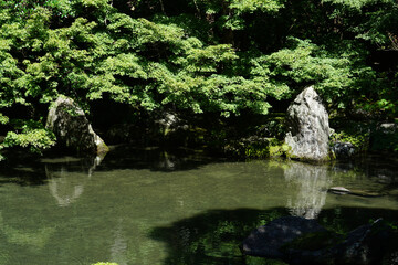 京都の仏教寺院の池のある庭園