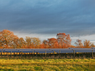 The frames of solar panels facing southwards at the Solar Farm in a Farmers Field near to Pitmuies on the road to Forfar in Angus.