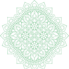 Beautiful flower art and mandala vector design