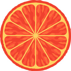Vibrant Orange Fruit Slice Illustration