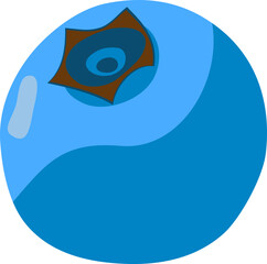 Stylized Blueberry Illustration