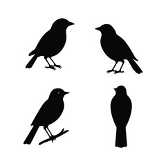 Bird Silhouette Collection ,  Flying and Perched Birds Vectors set 