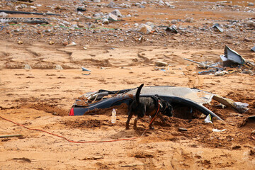 Wide Shot of Debris-Filled Area After Mudslide and Flood
