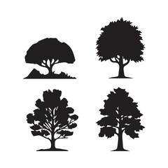 Set of plant and tree silhouette collection.
