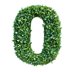 Green leaves form the letter O isolated white bckaground