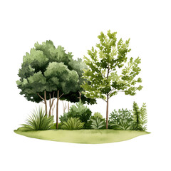 Obraz premium Lush Forest Landscape with Green Trees and Foliage in Watercolor Style Illustration