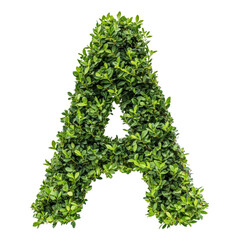 Green leaves form the letter A