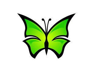 butterfly, insect, wing, nature, vector, design, animal, illustration, fly, decoration, beauty, tattoo, summer, art, green, spring, symbol, flower, pattern, wings, black, beautiful, colorful, silhouet