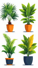 Fototapeta premium Four potted tropical plants, illustration, white background, home decor, website design.