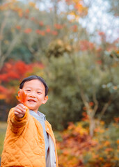 One Chinese boy enjoying beautiful autumn foliage scenery of vibrant maple trees during December at Dujuan Valley in Xikou, Fenghua, Ningbo, Zhejiang, China