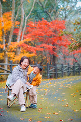 Fototapeta premium Chinese mother and her boy enjoying beautiful autumn foliage scenery of vibrant maple trees during December at Dujuan Valley in Xikou, Fenghua, Ningbo, Zhejiang, China