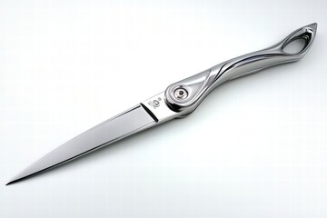 Obraz premium Sleek Modern Silver Pocket Knife