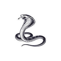 King cobra, Ophiophagus hannah, venomous snake against