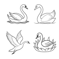 Fototapeta premium swans on the water vector illustration