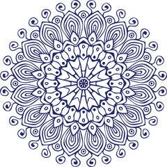 Beautiful flower art and mandala vector design